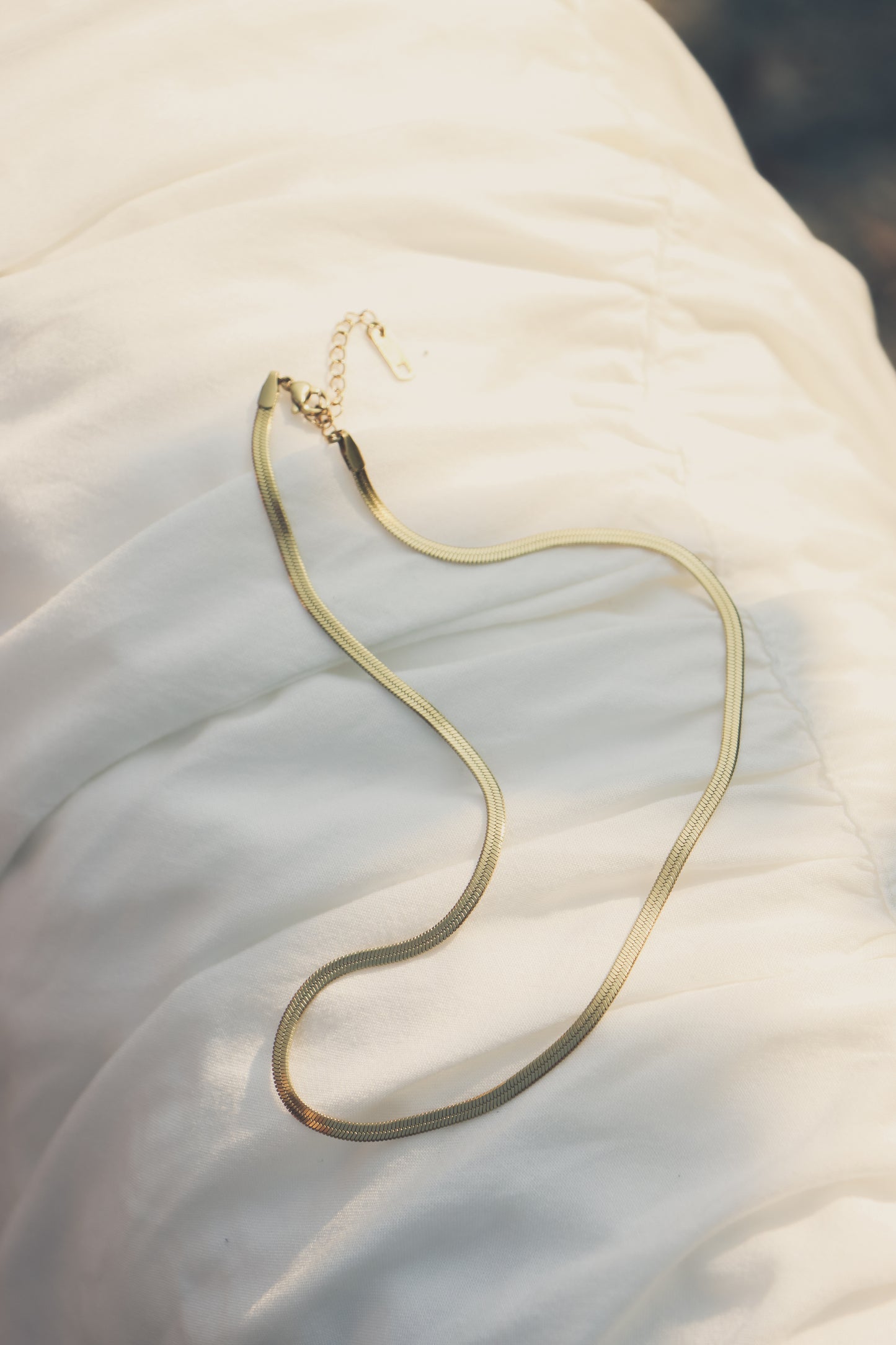 Akela Gold Chain